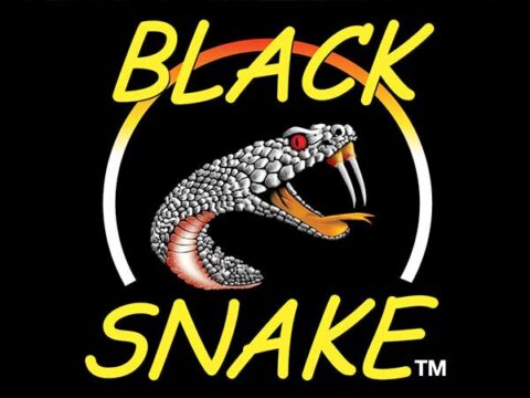 Black Snake Logo